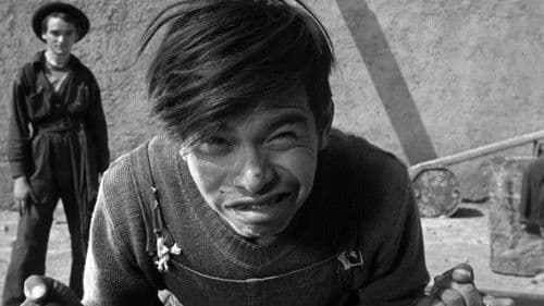 Die Vergessenen Bild 5