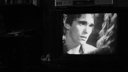 Locaciones: buscando a Rusty James Bild 2