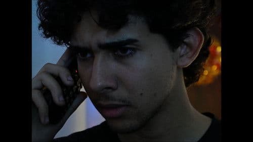 Laços de Natal Bild 3