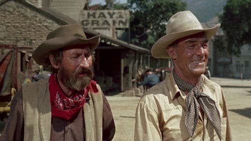 Um Kopf und Kragen Bild 6