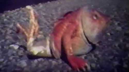 顺天圣母正传 Bild 1