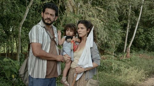 Llegaron de noche Bild 3