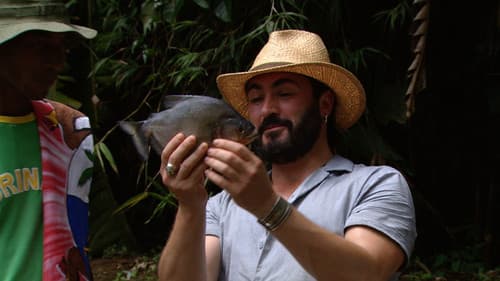 De smaak van Joël Bild 1