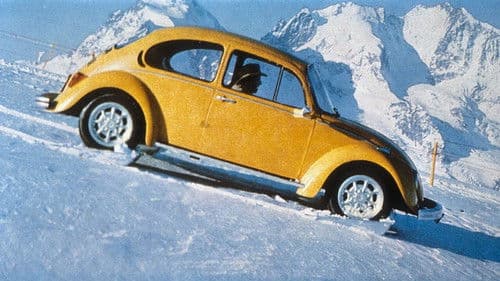 Ein Käfer auf Extratour Bild 1