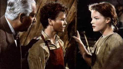 Robinson soll nicht sterben Bild 1