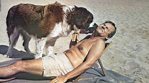 Superdad – Papa ist der Größte Bild 2