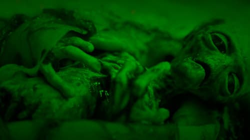 The Belgian Wave Bild 2