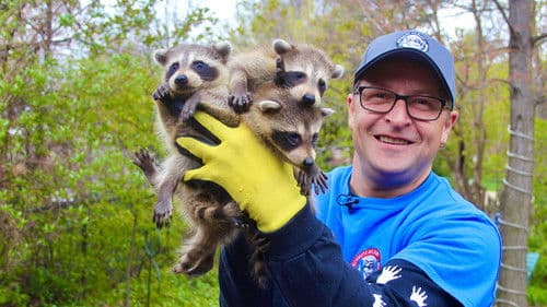 Louis et la faune urbaine Bild 4