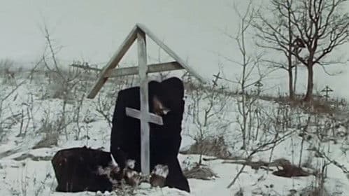 Опознание Bild 1