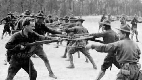 Tony Robinson's World War 1 Bild 2