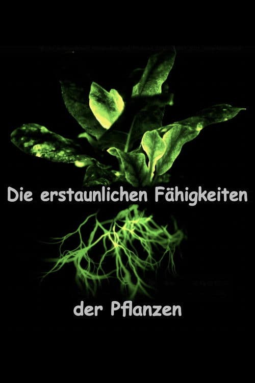 Die erstaunlichen Fähigkeiten der Pflanzen