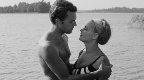 Suaugusių žmonių žaidimai Bild 1