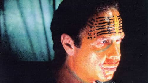 The Age of Insects Bild 1