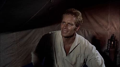 Am fernen Horizont Bild 8