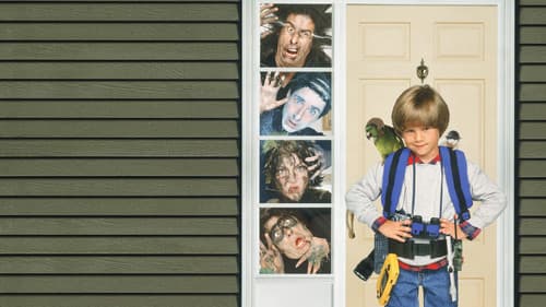 Wieder allein zu Haus Bild 2