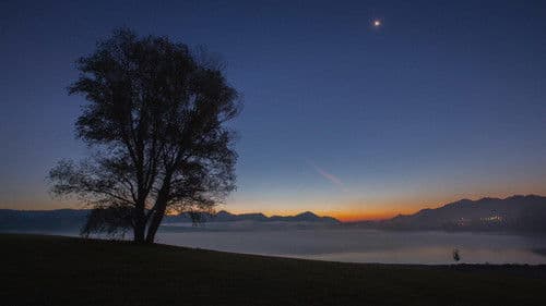 Ptice jezer, njihova vrnitev Bild 3