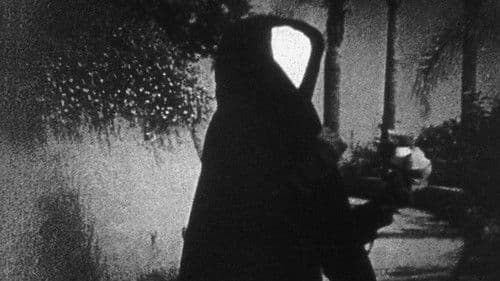 Meshes of the Afternoon Bild 5