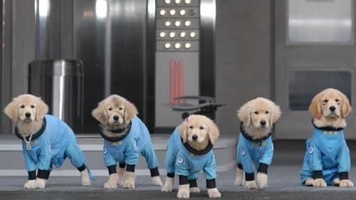 Space Buddies - Mission im Weltraum Bild 2