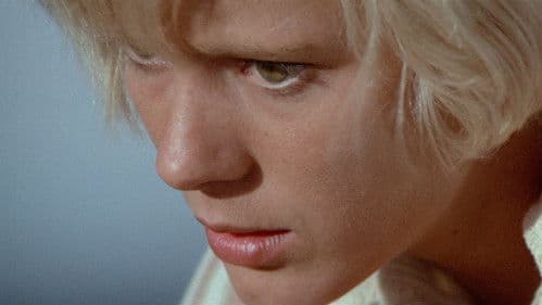 Die Straße nach Salina Bild 3