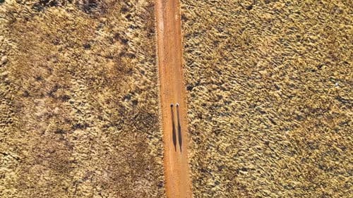 The Long Way Home Bild 1