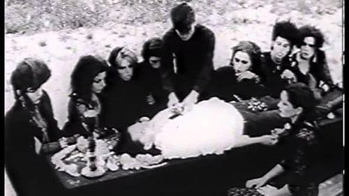 Bad Blood for the Vampyr Bild 1