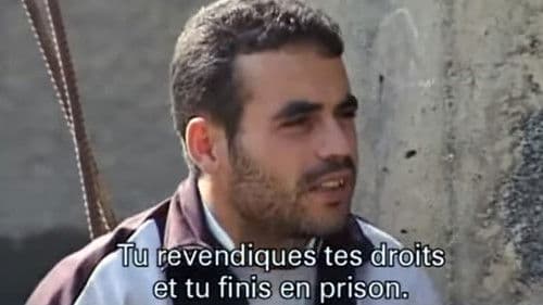 Algérie, La vie quand même Bild 6
