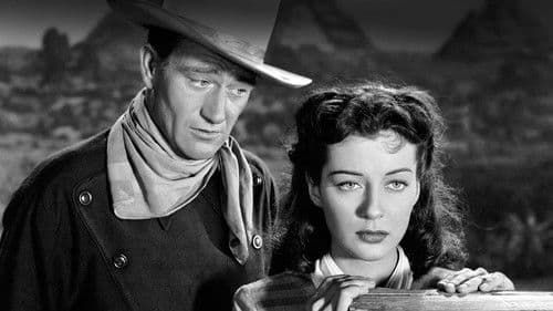 Der schwarze Reiter Bild 4