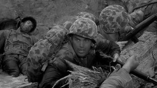 Stoßtrupp Saipan Bild 2