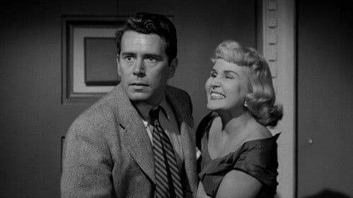 Das gläserne Netz Bild 2