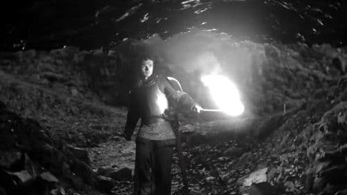 The Hallowed Knight Bild 1