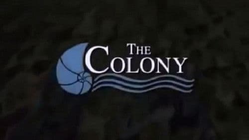 The Colony - Umzug ins Verderben Bild 7