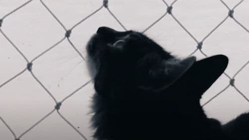 (2) Seres em Transformação Bild 3