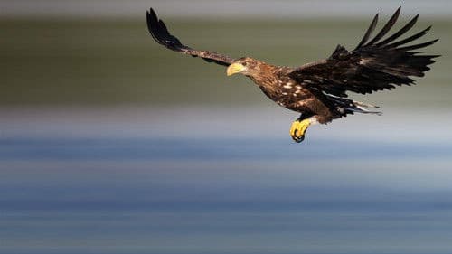 Europas verborgene Naturwunder Bild 4