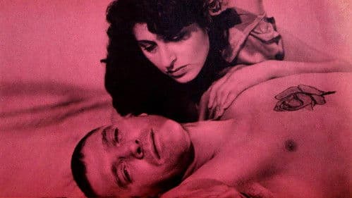 Die tätowierte Rose Bild 1