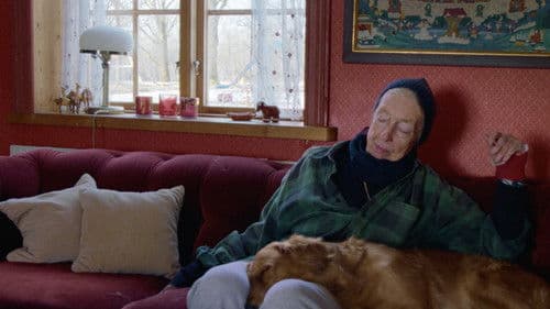 Nina Hedenius - ett ögonblick i sänder Bild 1