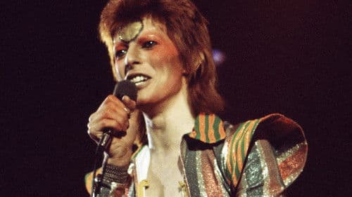 David Bowie - Der Weg zur Legende Bild 2