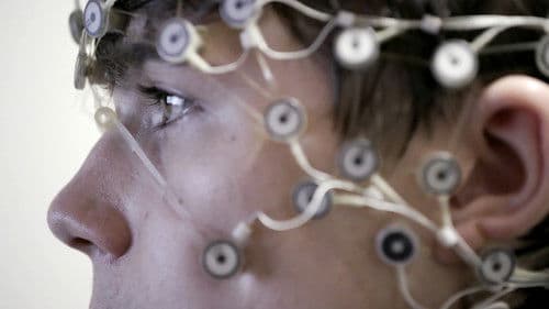 One Nation Under Stress Bild 7