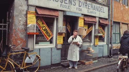 Oh, diese Mieter! Bild 3