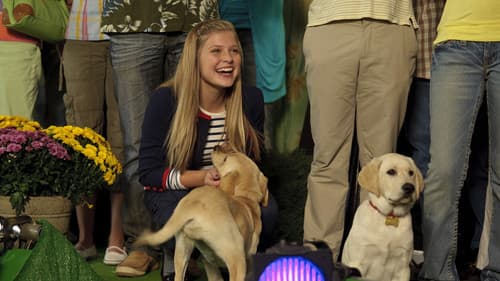 Marley & Ich 2 - Der frechste Welpe der Welt Bild 4