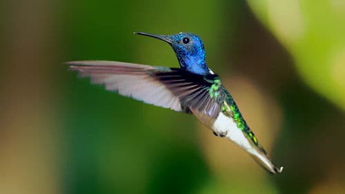Die Tricks des Überlebens Bild 1