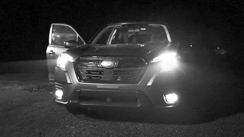 Roadside Drive Bild 2