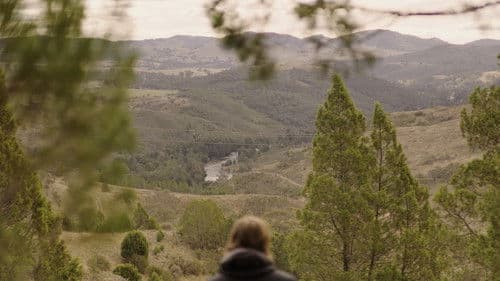 Stumbling Home Bild 2