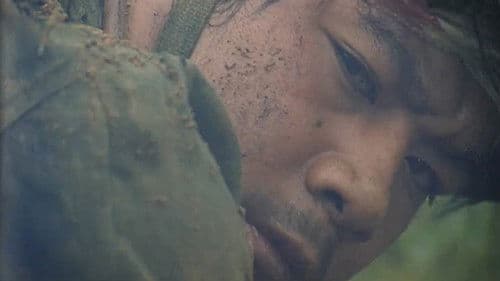 雷场相思树 Bild 2