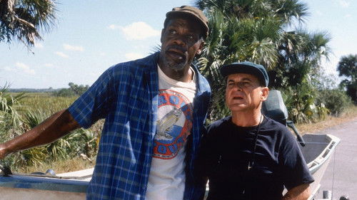 Der 100.000 Dollar Fisch Bild 4