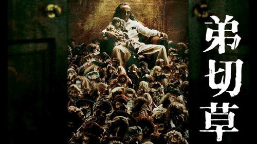 St. Johns Wort Bild 3