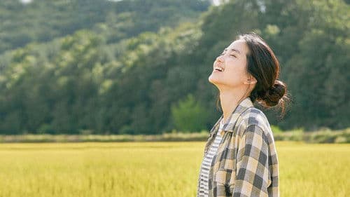 Little Forest Bild 2