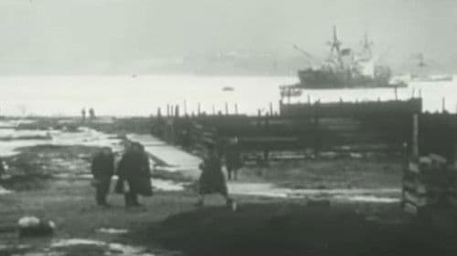 Valdivia 1960, El Gran Terremoto Bild 2