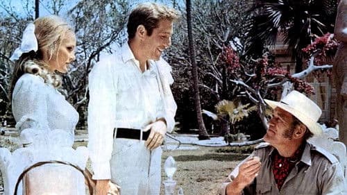 Safari Express Bild 5