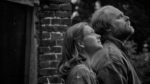 Drie dagen vis Bild 5