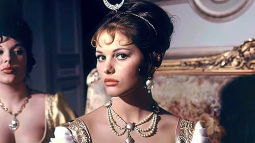 Austerlitz - Glanz einer Kaiserkrone Bild 4